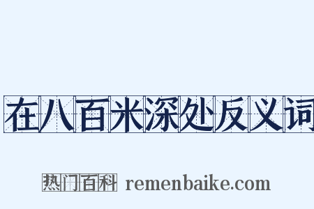 在八百米深处反义词是什么意思的图片